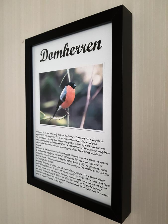 Takern Vandrarhem Svanshals Экстерьер фото