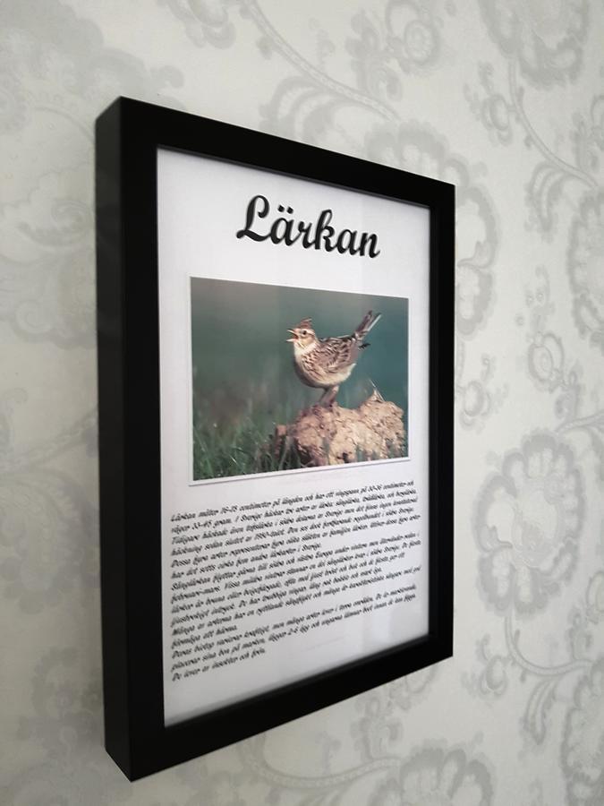 Takern Vandrarhem Svanshals Экстерьер фото